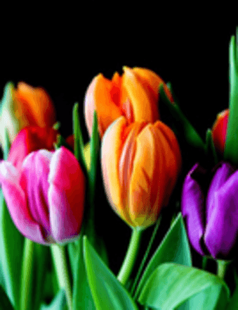 Sonja Yvette Pough Obituary