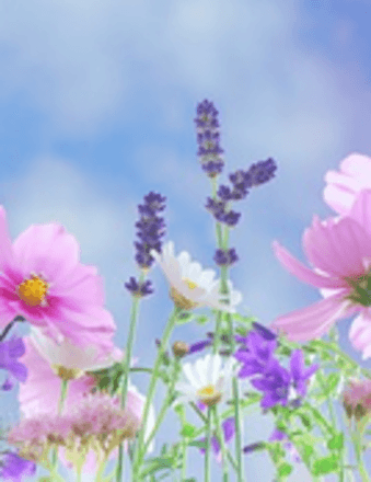 Yvonne Matthews Obituary